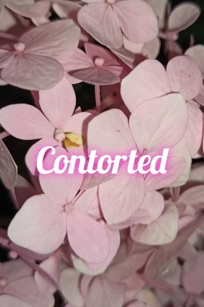Contorted