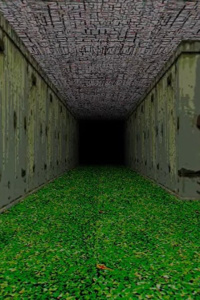 The Wired Phantasmagoria Grimoires