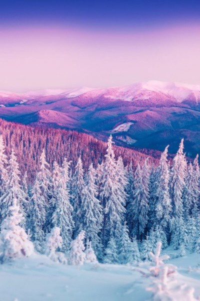 Tales Of The Floridiot's How I Spent My Winter Vacation