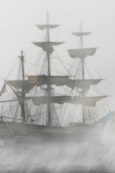 Life on the High Seas A LitRPG Saga