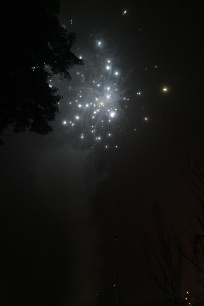 Dual Hearts (Litrpg)