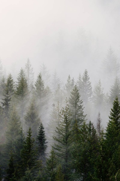 Tales Of The Floridiot's I got attacked by a flying bagel