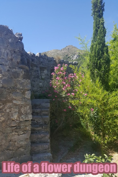 Life of a flower dungeon