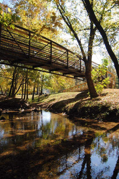 Gold [Slice of Life, Fantasy]