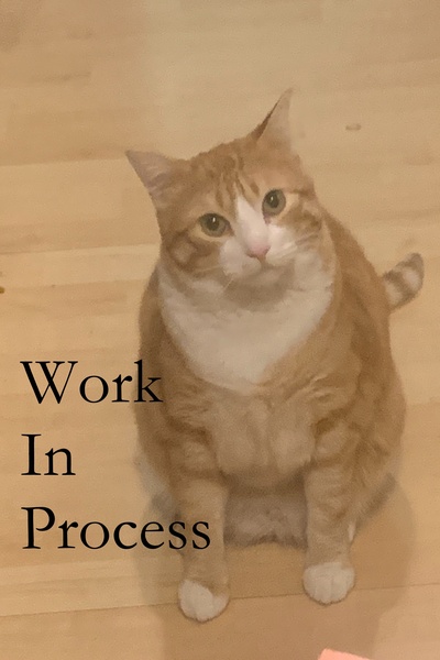 Chaos Transcends or Transcendental Chaos