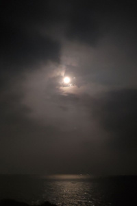 The Oak; or, Between What Was and What Will Be