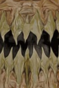 System Rejected Dungeon