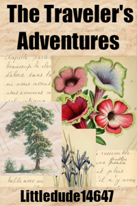 The Traveler's Adventures
