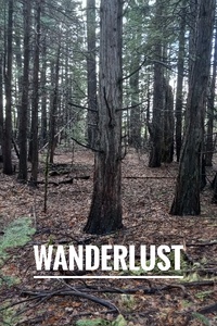 Wanderlust
