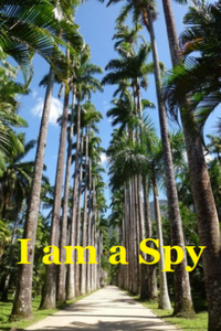 I am a Spy