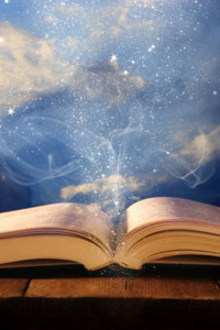 Guardian Singularity