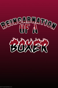 Reincarnation of a Boxer!