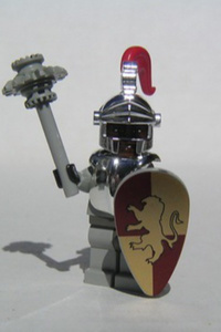 The Steadfast Paladin