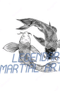 The Legendary Martial Artist: Failed Beta
