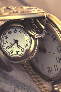 The Cardinal's Memories