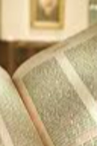 I was suddenly transferred into a novel I enjoyed reading but...