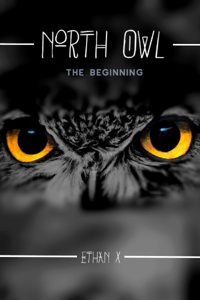 North Owl: Beginning