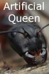 Artificial Queen