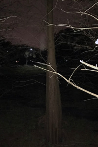 A Castle Made of Wood, A Wine Made of Skulls