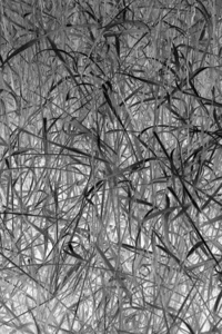 Douluo Dalu: Rise of The Spirit Grass