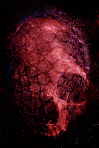 A Human's Guide to EndsMarch