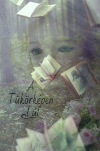 Beyond the Reflection