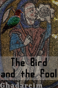 The Bird and the Fool