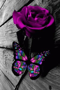 [Spanish] un amor correspondido