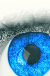 The immortal Sacrifice