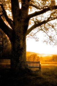 Strange Convergences