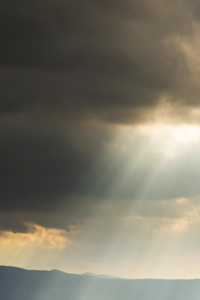 Elysium of the Shadow