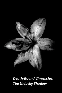 Death-Bound Chronicles: The Unlucky Shadow