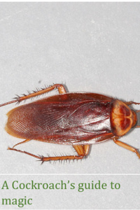 A Cockroach's guide to magic