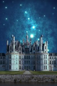 The Citadel's Survivor