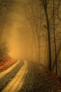 The Fantastic World of Aria