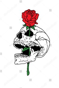 The Crimson Colored Rose