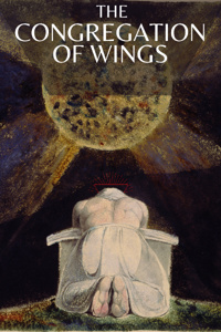 The Congregation of Wings