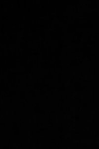 Gamer of many and one places