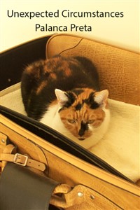 Unexpected Consequences