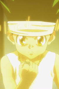 Hunter x Hunter: Gon Freecs, The Multiverse Gamer.