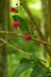 What Dying Feels Like