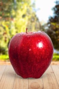 Super Speed Slow What