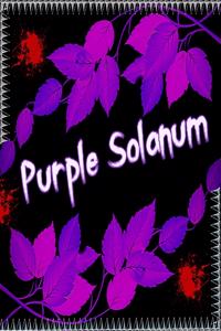 Purple Solanum