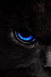 Tears Of The Summoner