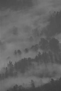 Paladin(book 1of the gifted saga)