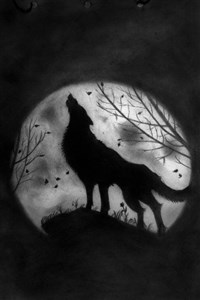 The Wolf's Shadow