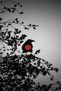 A King's Regret - Ravenchild