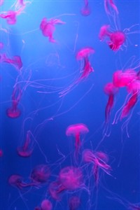 Grow up in a different world or die trying...repeatedly