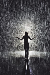 A Dream is a Wish the Heart Makes