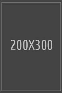 200X300